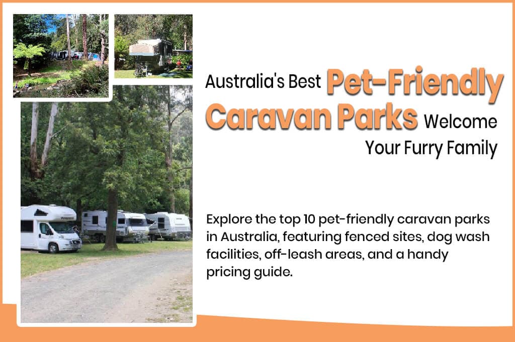 Australia’s Best Pet-Friendly Caravan Parks – Welcome Your Furry Family